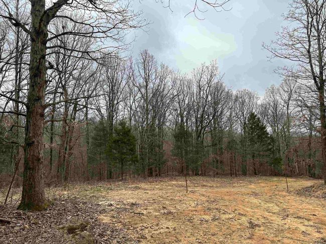 Lot 2 Raby Road, Home with 0 bedrooms, 0 bathrooms and null parking in Harrisburg AR | Image 9