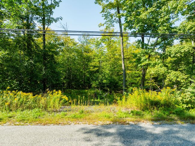 14&18 Burnside Bridge Rd, Home with 0 bedrooms, 0 bathrooms and null parking in Mcdougall ON | Image 18