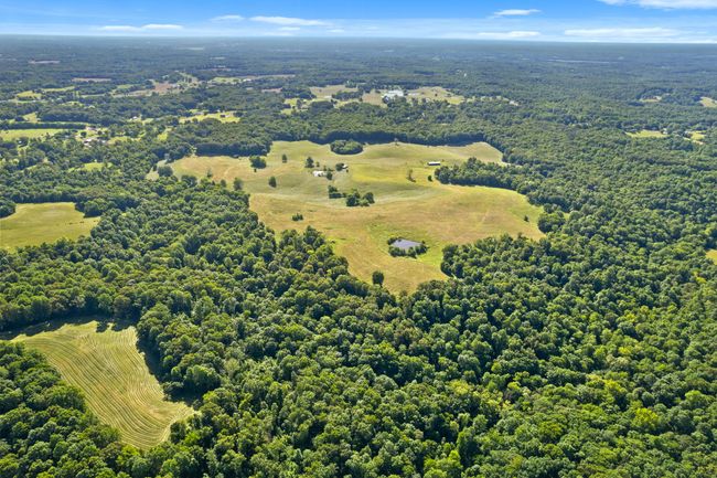 0 Happy Hills Acre Rd, Home with 0 bedrooms, 0 bathrooms and null parking in Woodlawn TN | Image 12