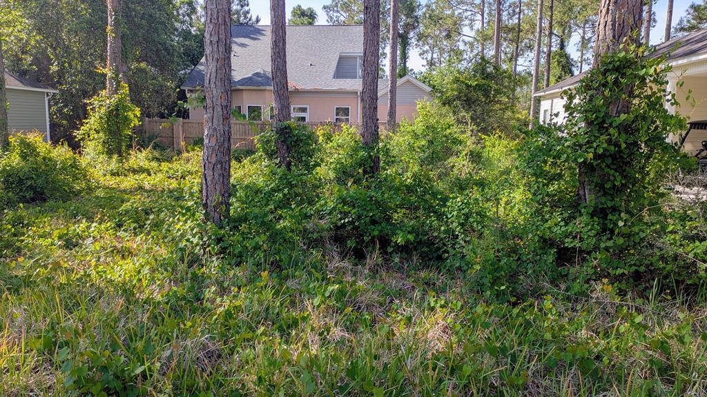 Land in Carrabelle 2