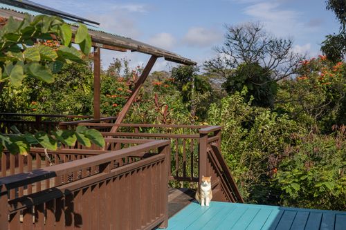 52-284 Keokea Park Rd, Kapaau, HI, 96755 | Card Image