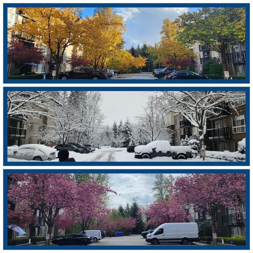 101-11665 Haney Bypass, Maple Ridge, BC, V2X8W9 | Card Image