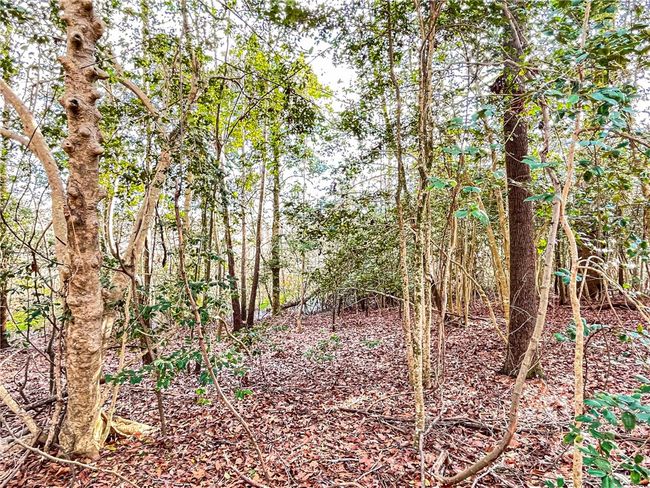 00 New Bridge Rd, Home with 0 bedrooms, 0 bathrooms and null parking in Mc Coll SC | Image 29