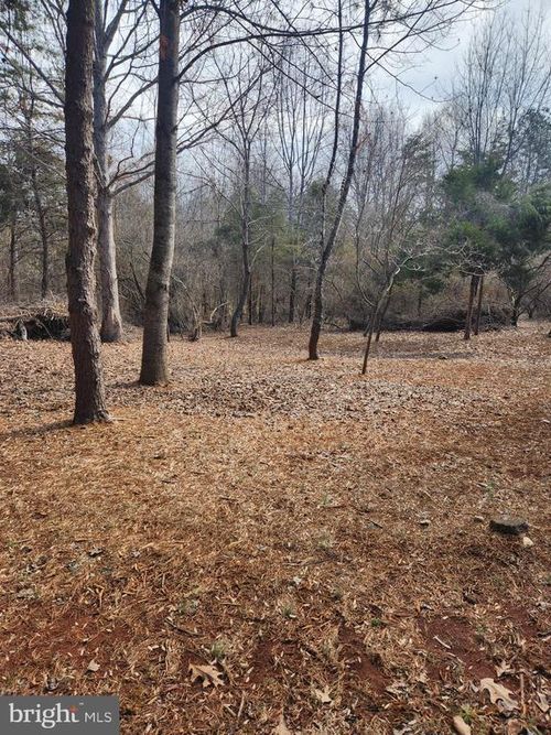 36 Deer Ln, BOSTON, VA, 22713 | Card Image