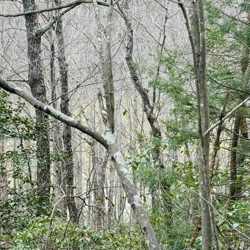 0 Sandy Hills Rd, Corbin, KY, 40701 | Card Image