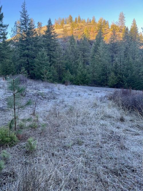 31270 Blue Grouse Dr E, Davenport, WA, 99122-5277 | Card Image