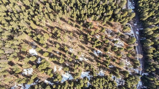 270 Tomahawk Trl, Home with 0 bedrooms, 0 bathrooms and null parking in Fortine MT | Image 19