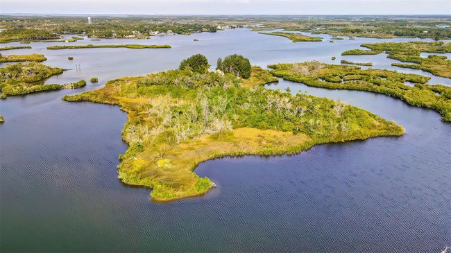 13835 Ricks Is, House other with 4 bedrooms, 2 bathrooms and null parking in CRYSTAL RIVER FL | Image 69