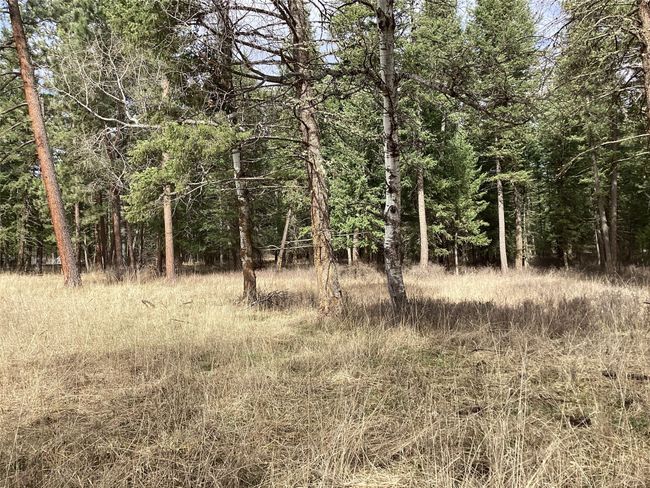 1 Eagle Pass Road, Home with 0 bedrooms, 0 bathrooms and null parking in Charlo MT | Image 19