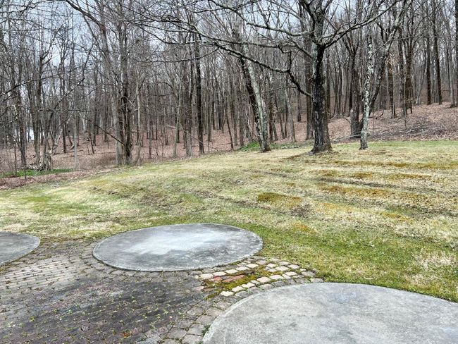 View of yard | Image 8