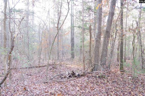 133 Archway Ct, Little Mountain, SC, 29075-9504 | Card Image