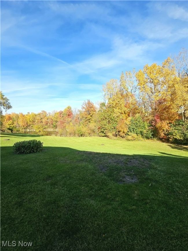 View of yard | Image 26