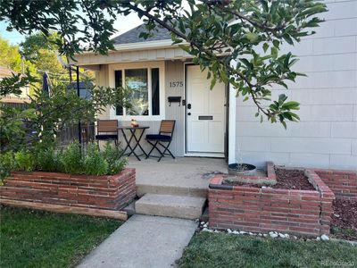 Peeking under the apple tree | Image 1