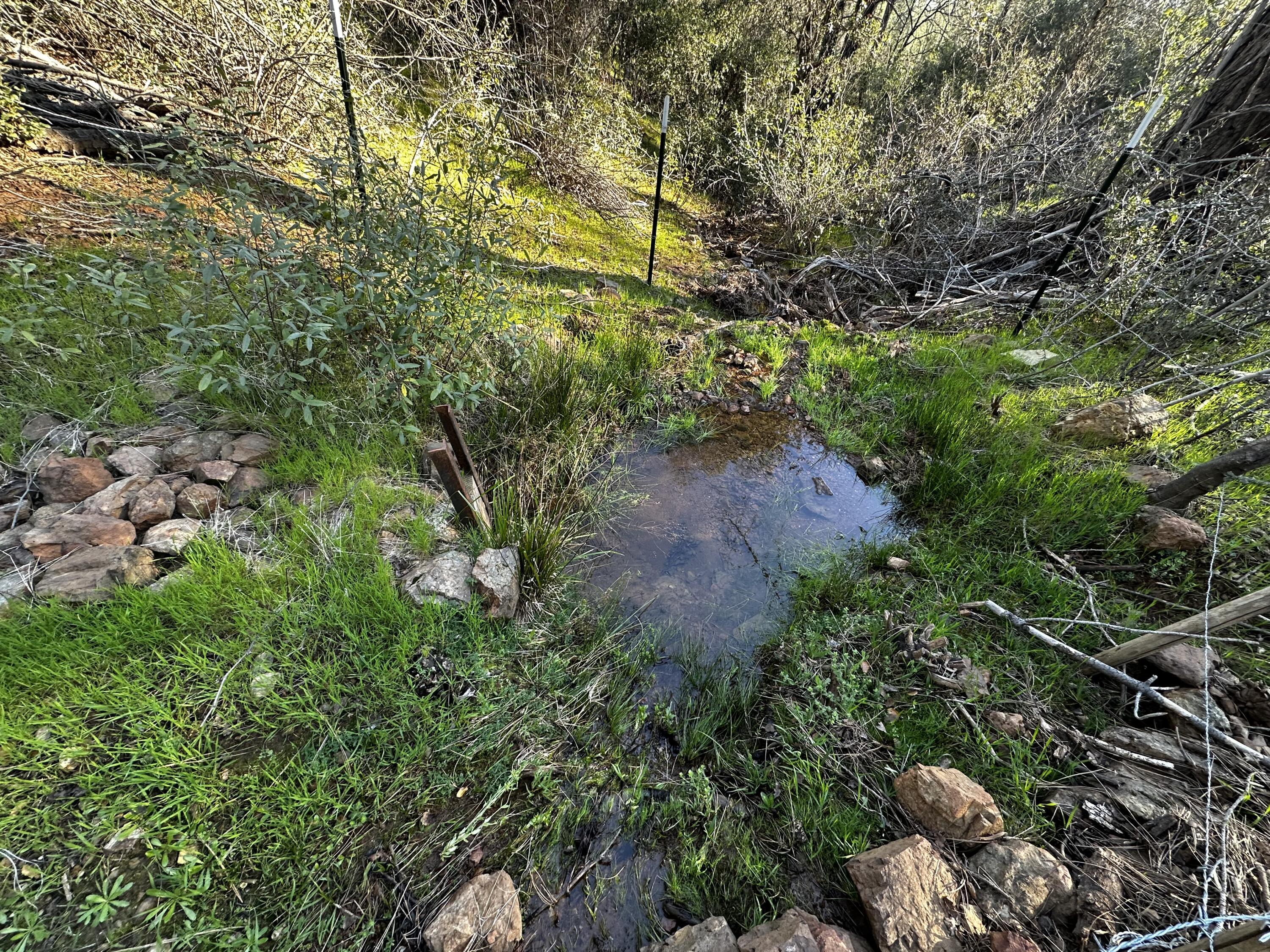 Land in Bella Vista 5