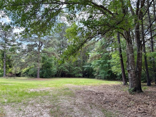 7481 County Road 232, Home with 0 bedrooms, 0 bathrooms and null parking in Richards TX | Image 8