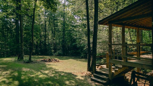 Tolley pic 5 | Image 6