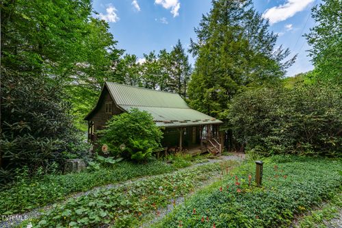 170 Ripshin Lake Rd, Roan Mountain, TN, 37687-3767 | Card Image
