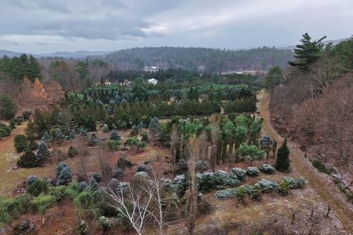 0 Mount Moosilauke Hwy, Wentworth, NH, 03282 | Card Image