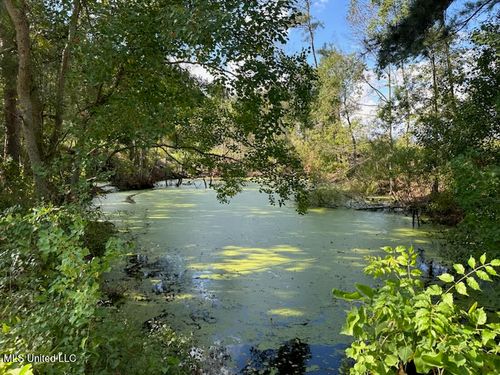 32 Acres +/- Garner Rd., Mount Olive, MS, 39119 | Card Image