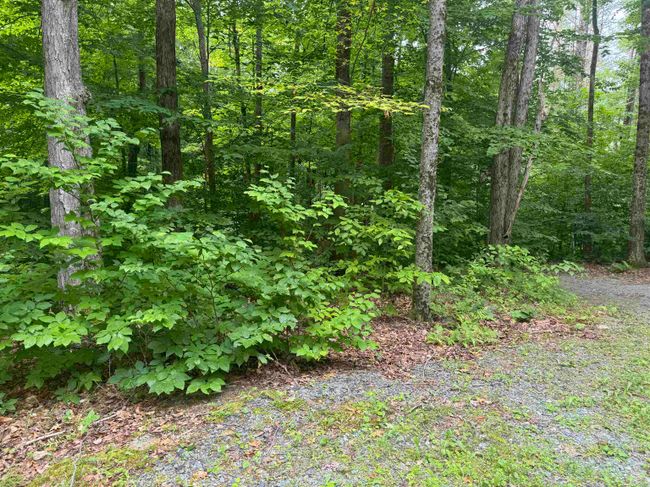 3089 Monument Hill Rd, House other with 1 bedrooms, 0 bathrooms and null parking in Castleton VT | Image 19