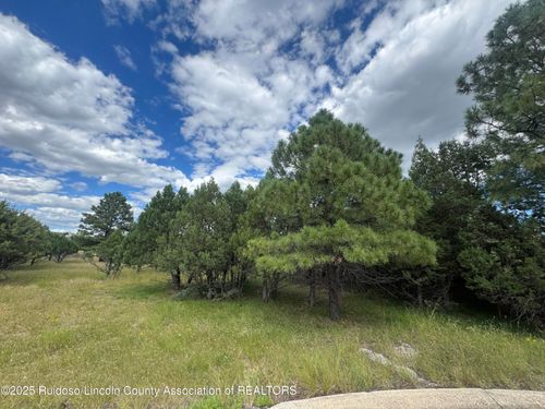 Lot 13H Dream Catcher, Alto, NM, 88312 | Card Image