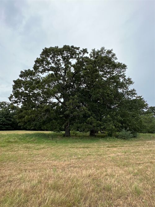 000 County Road 3512, Dike, TX, 75437 | Card Image