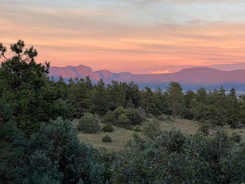 45 Rim Dr, Los Ojos, NM, 87551-5025 | Card Image