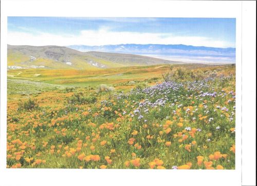0 Cooperstown Rd, Santa Margarita, CA, 93453 | Card Image