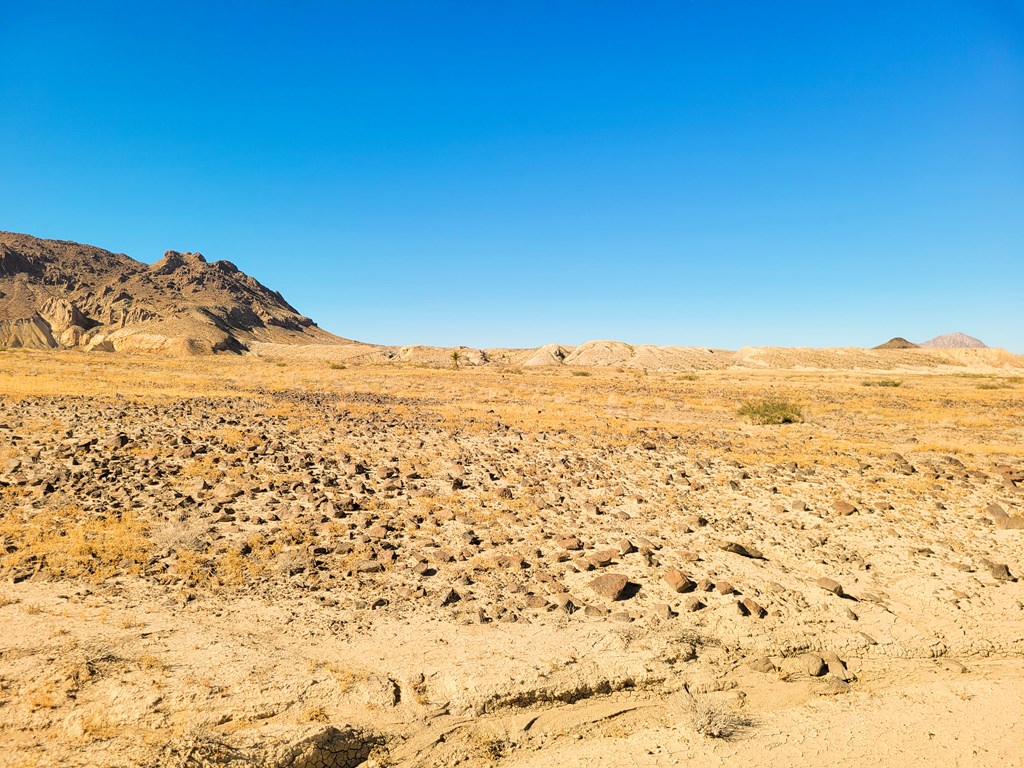 Land in Terlingua 2