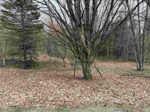 54 Adams School Rd, Grand Isle, VT, 05458-2106 | Card Image