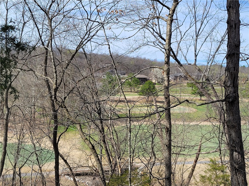 Land in Bella Vista 4