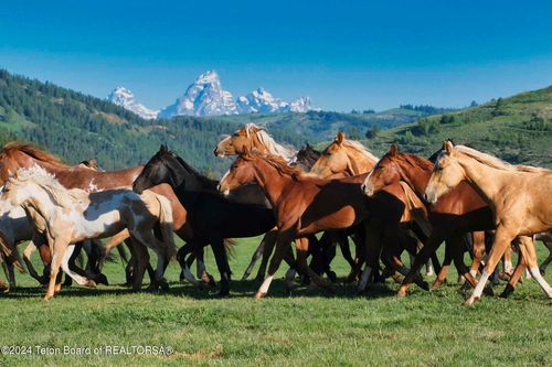 15400 Gros Ventre Rd, Kelly, WY, 83011 | Card Image