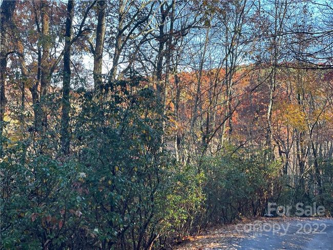 4 - 9999 Sassafras Ln, Home with 0 bedrooms, 0 bathrooms and null parking in Cedar Mountain NC | Image 20