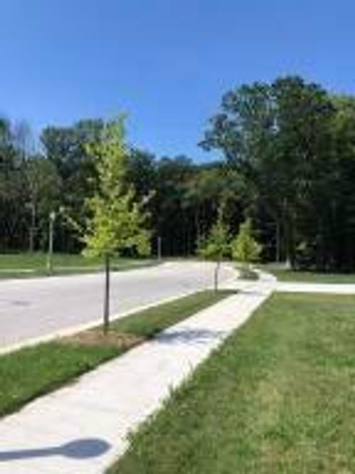 Lt39 Forest Rd, Kohler, WI, 53044 | Card Image