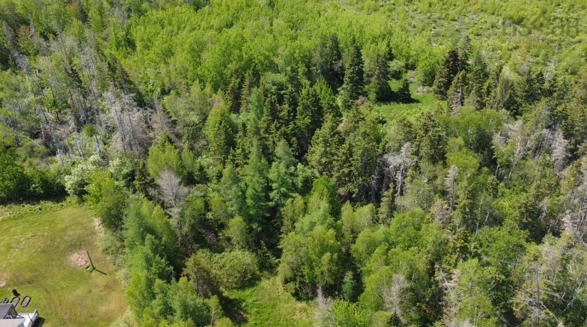Land in Wallace 2