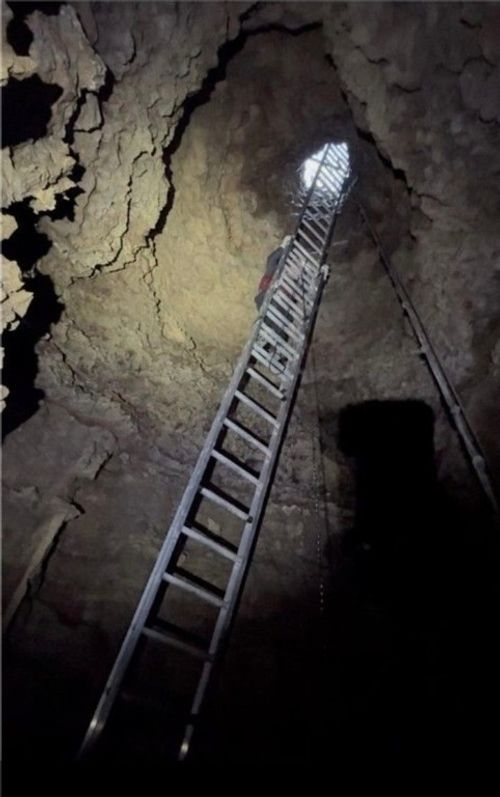 293 County Road 315, Eureka Springs, AR, 72632 | Card Image