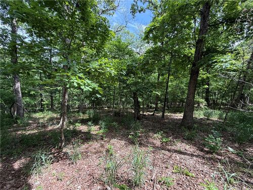 TBD County Road 206, Eureka Springs, AR, 72632 | Card Image