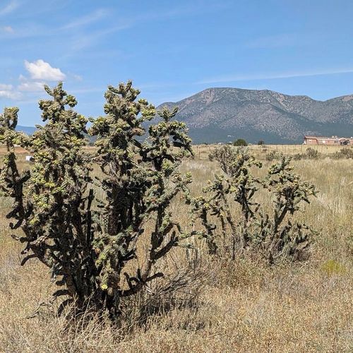 0 N Weimer North Road, Stanley, NM, 87056 | Card Image