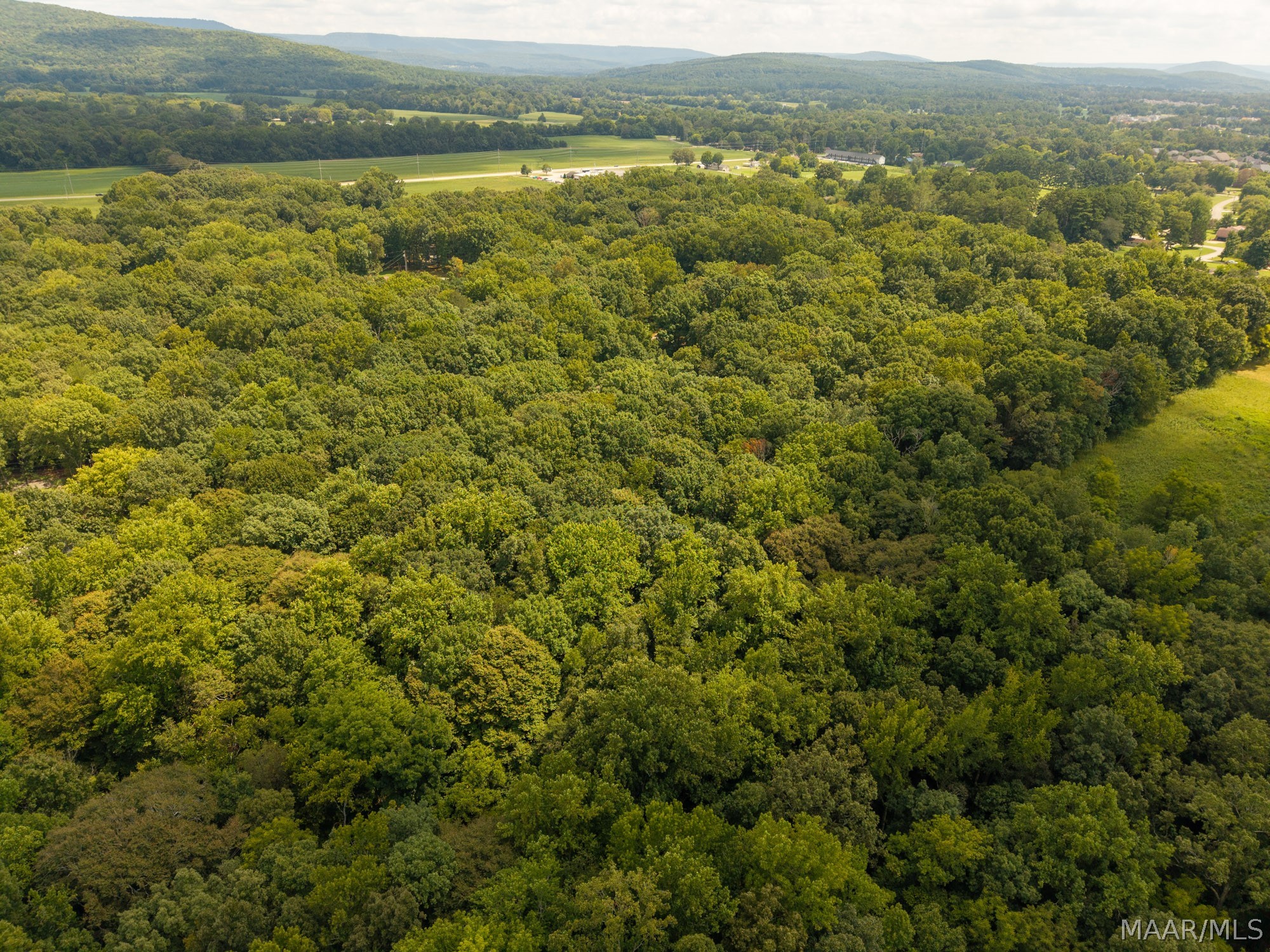 Land in New Market 5