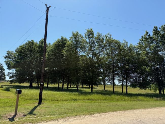 TBD 1 Pr 44005, Home with 0 bedrooms, 0 bathrooms and null parking in Blossom TX | Image 4