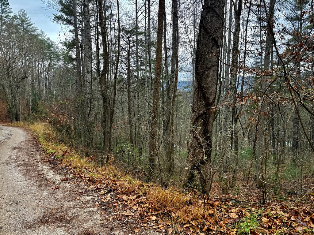 Land in Franklin 4