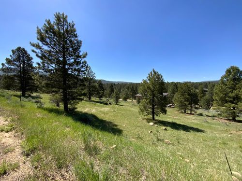 1263 Torry Pines Ln, Angel Fire, NM, 87710 | Card Image