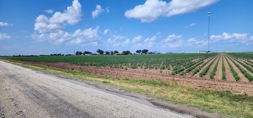 NA Loop 570, Wall, TX, 76957 | Card Image