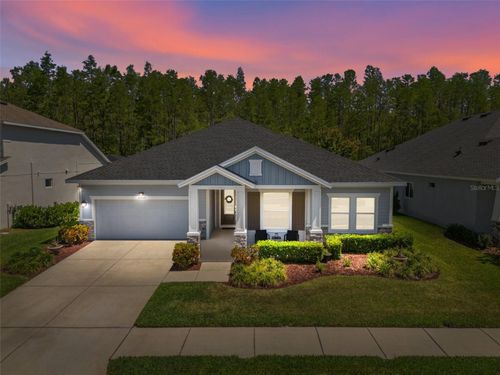 15329 Renaissance Ave, ODESSA, FL, 33556-4394 | Card Image