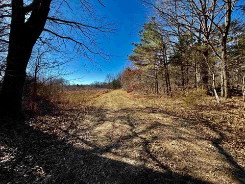 40.29 AC Old Brownsville Rd, Somerville, TN, 38068 | Card Image