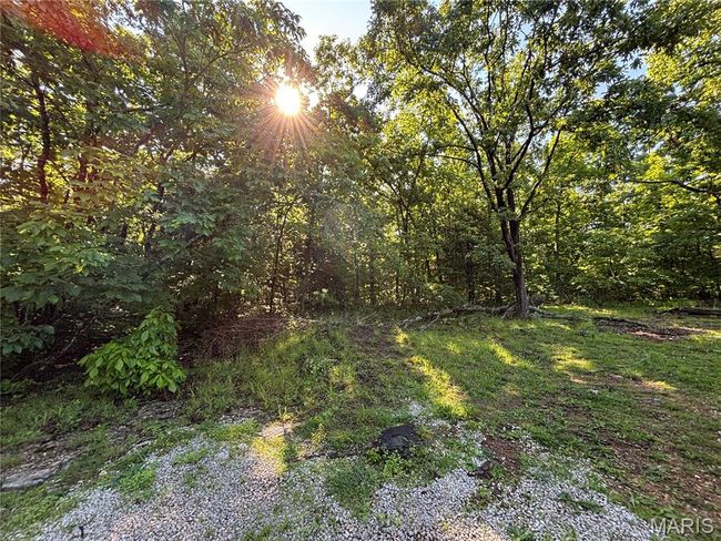 View of undeveloped land | Image 17