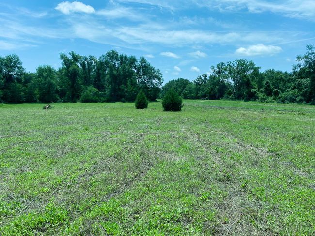 5 W Carrington Ave, Home with 0 bedrooms, 0 bathrooms and null parking in Marquez TX | Image 13