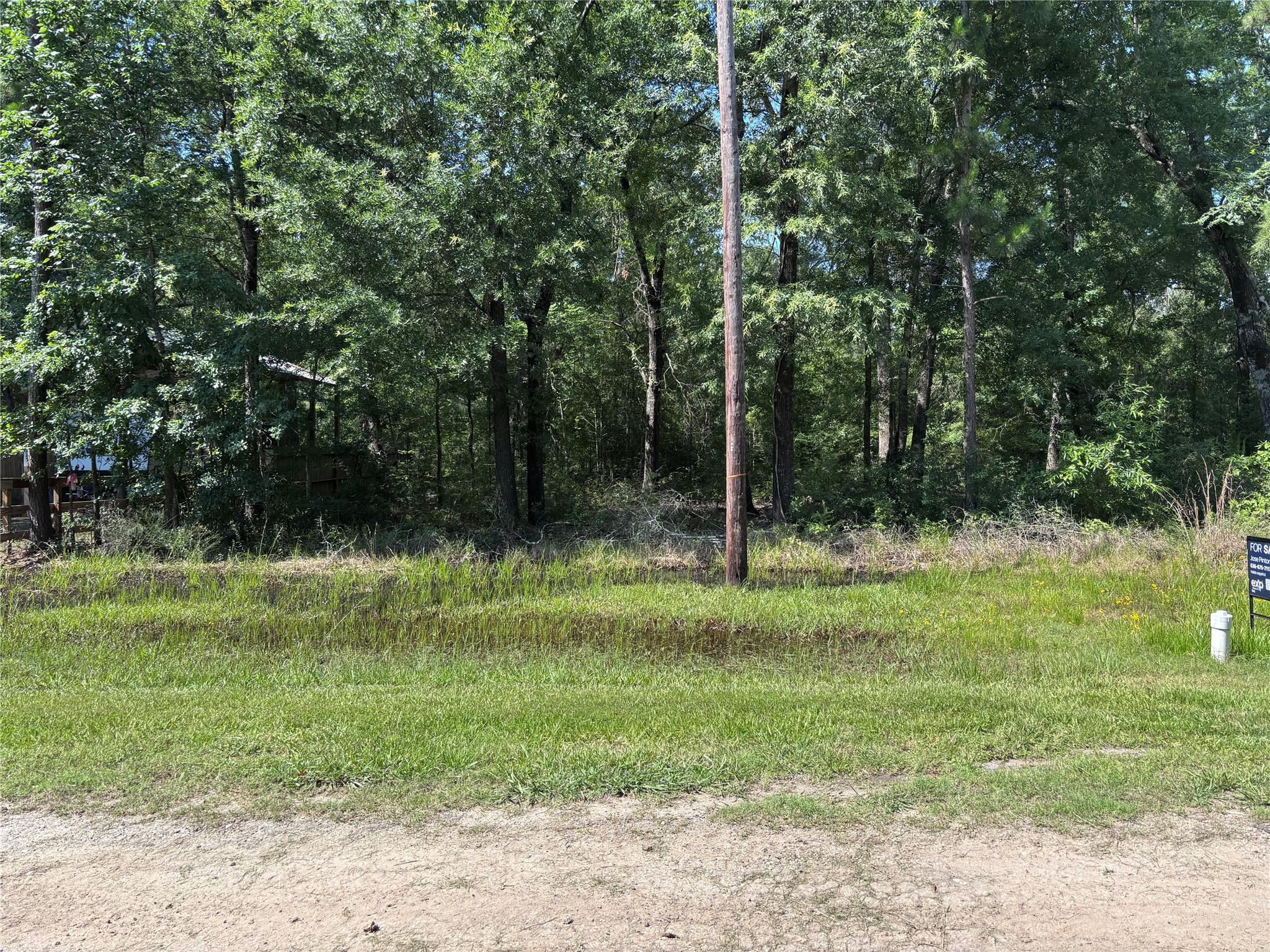 Land in Livingston 2