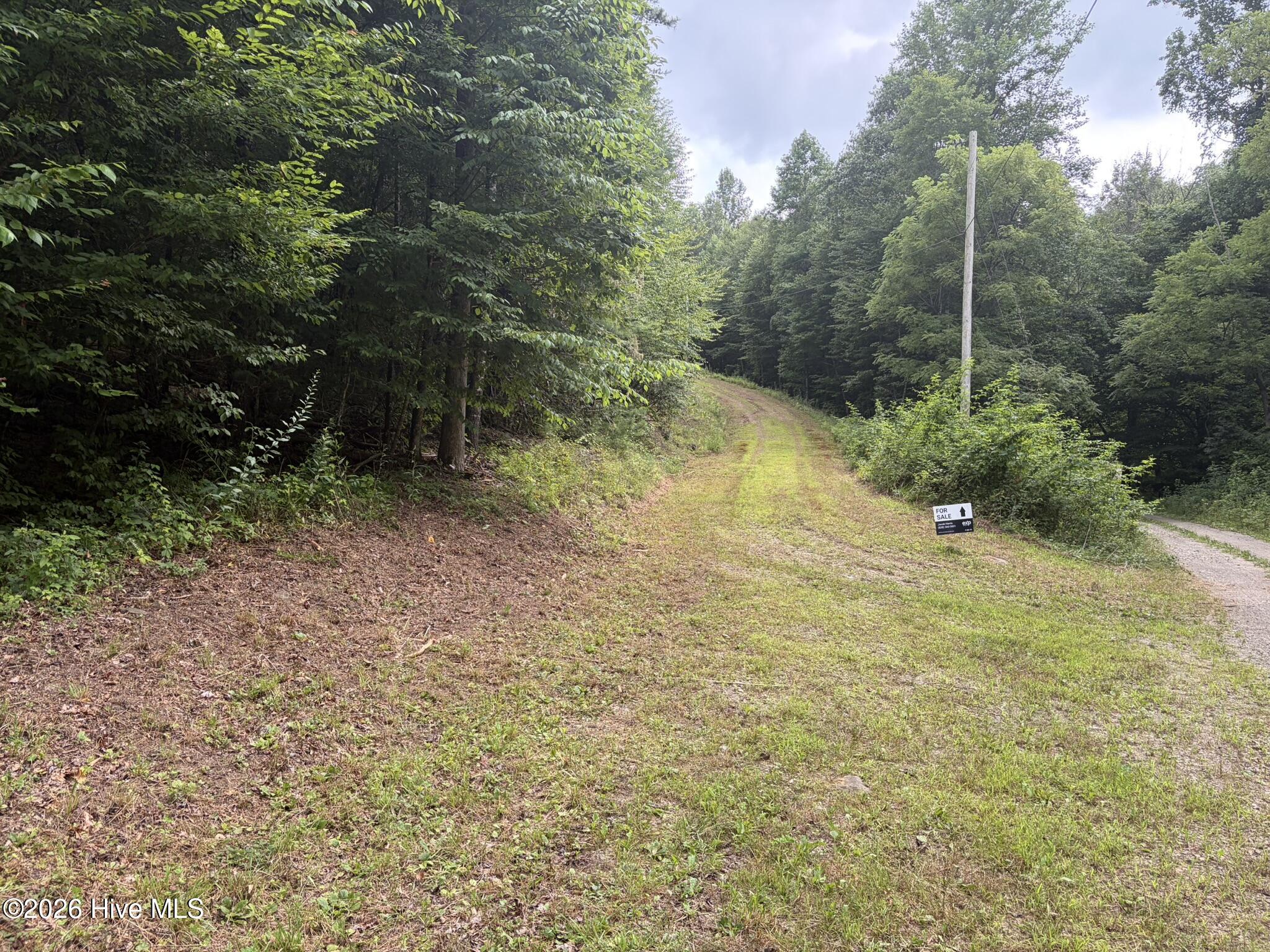 Land in Murphy 4