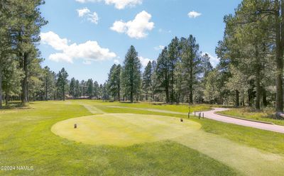 bear-howard-flagstaff-az-usa-corrected-0 | Image 1